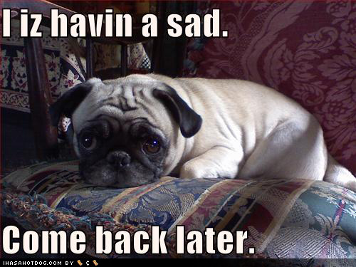 funny-dog-pictures-pug-has-sad.jpg