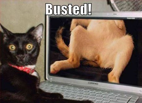 busted-01.jpg