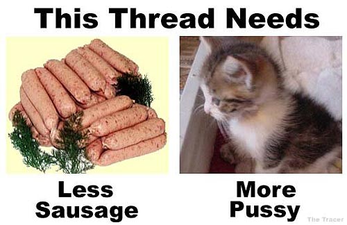 Needs-More-Pussy_less_sausage.jpg