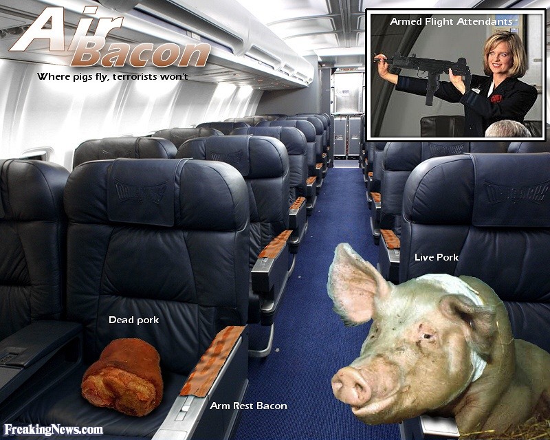 Bacon-Airline--1433.jpg