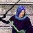 Robin the Brave