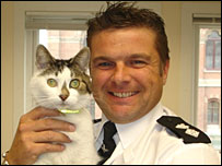 _44243315_police-cat_203.jpg