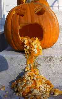 puking%20pumpkin.sm.jpg